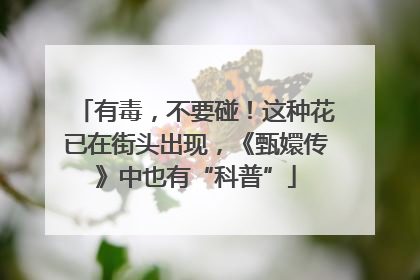有毒，不要碰！这种花已在街头出现，《甄嬛传》中也有“科普”