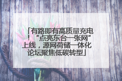 有路即有高质量充电！“点亮东台一张网”上线，源网荷储一体化论坛聚焦低碳转型