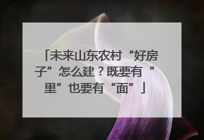 未来山东农村“好房子”怎么建？既要有“里”也要有“面”