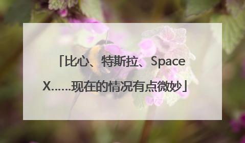 比心、特斯拉、SpaceX……现在的情况有点微妙