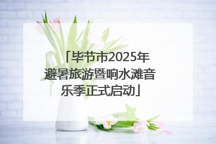 毕节市2025年避暑旅游暨响水滩音乐季正式启动