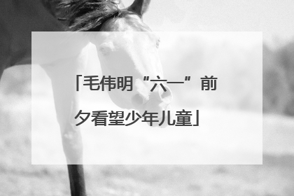 毛伟明“六一”前夕看望少年儿童