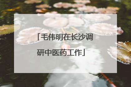 毛伟明在长沙调研中医药工作