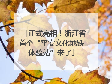 正式亮相！浙江省首个“平安文化地铁体验站”来了