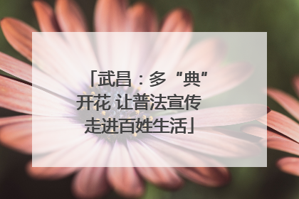 武昌：多“典”开花 让普法宣传走进百姓生活