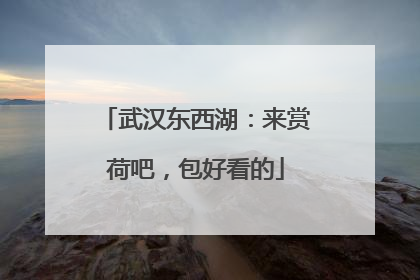 武汉东西湖：来赏荷吧，包好看的