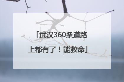 武汉360条道路上都有了！能救命