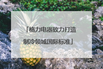 格力电器致力打造制冷领域国际标准