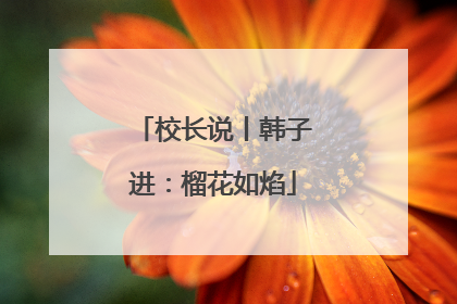 校长说丨韩子进：榴花如焰