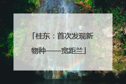 桂东：首次发现新物种——宽距兰