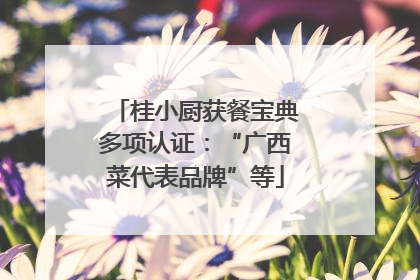 桂小厨获餐宝典多项认证：“广西菜代表品牌”等