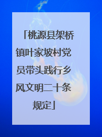 桃源县架桥镇叶家坡村党员带头践行乡风文明二十条规定