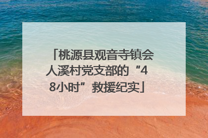 桃源县观音寺镇会人溪村党支部的“48小时”救援纪实