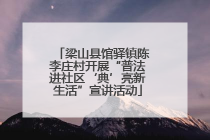 梁山县馆驿镇陈李庄村开展“普法进社区‘典’亮新生活”宣讲活动