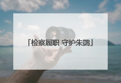 检察履职 守护朱鹮