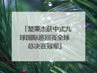 楚秉杰获中式九球国际巡回赛全球总决赛冠军