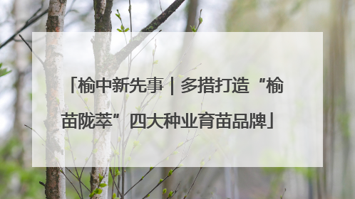 榆中新先事｜多措打造“榆苗陇萃”四大种业育苗品牌