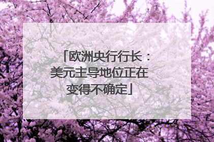 欧洲央行行长：美元主导地位正在变得不确定