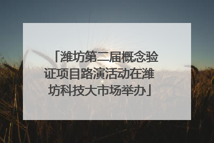 潍坊第二届概念验证项目路演活动在潍坊科技大市场举办