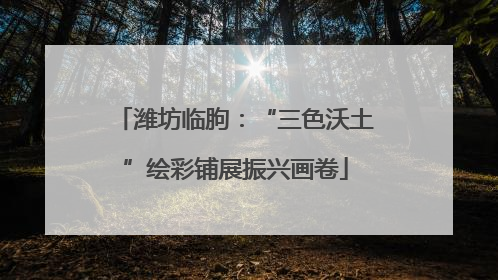 潍坊临朐：“三色沃土”绘彩铺展振兴画卷