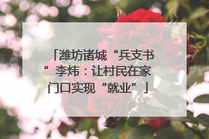 潍坊诸城“兵支书”李炜：让村民在家门口实现“就业”