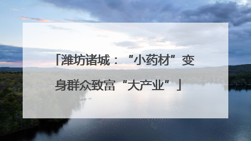 潍坊诸城：“小药材”变身群众致富“大产业”