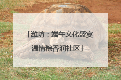 潍坊：端午文化盛宴 温情粽香润社区