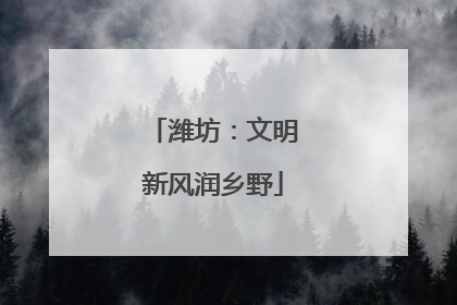潍坊：文明新风润乡野