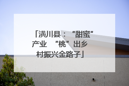 潢川县：“甜蜜”产业  “桃”出乡村振兴金路子