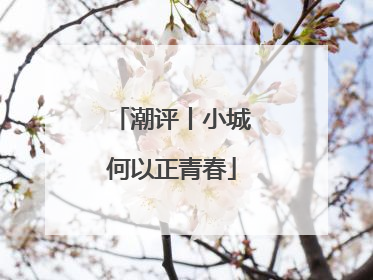 潮评丨小城何以正青春