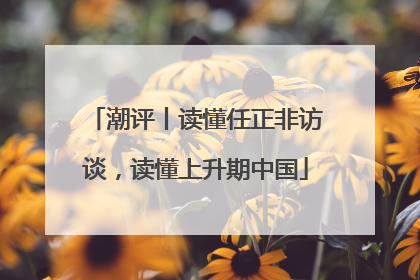 潮评丨读懂任正非访谈，读懂上升期中国