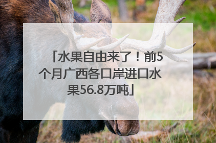 水果自由来了！前5个月广西各口岸进口水果56.8万吨