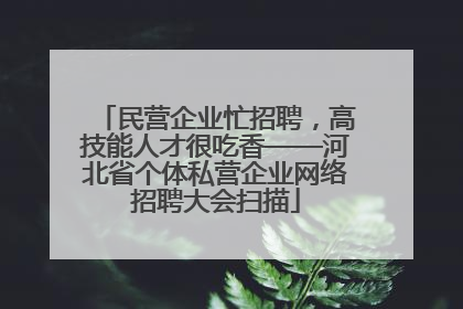 民营企业忙招聘，高技能人才很吃香——河北省个体私营企业网络招聘大会扫描