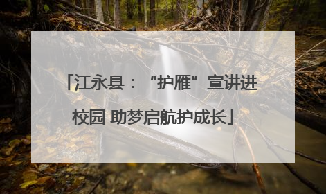 江永县：“护雁”宣讲进校园 助梦启航护成长
