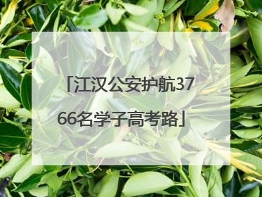 江汉公安护航3766名学子高考路