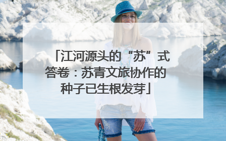 江河源头的“苏”式答卷：苏青文旅协作的种子已生根发芽