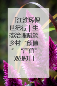 江淮环保世纪行｜生态治理赋能乡村“颜值”“产值”双提升