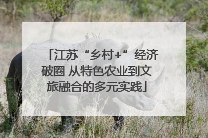 江苏“乡村+”经济破圈 从特色农业到文旅融合的多元实践