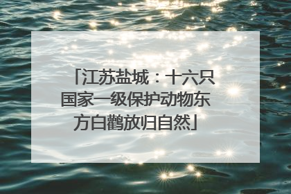 江苏盐城：十六只国家一级保护动物东方白鹳放归自然