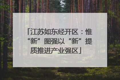 江苏如东经开区：惟“新”图强以“新”提质推进产业强区