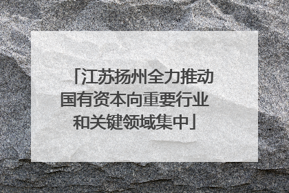 江苏扬州全力推动国有资本向重要行业和关键领域集中