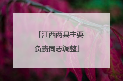江西两县主要负责同志调整