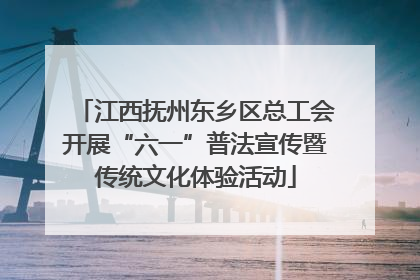 江西抚州东乡区总工会开展“六一”普法宣传暨传统文化体验活动