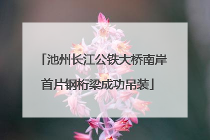 池州长江公铁大桥南岸首片钢桁梁成功吊装