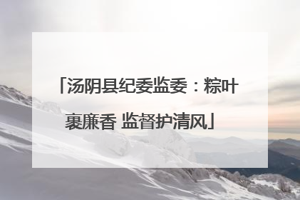 汤阴县纪委监委：粽叶裹廉香 监督护清风