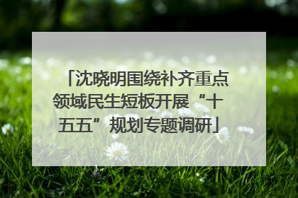 沈晓明围绕补齐重点领域民生短板开展“十五五”规划专题调研