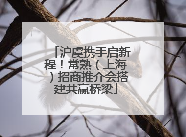 沪虞携手启新程！常熟（上海）招商推介会搭建共赢桥梁
