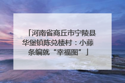 河南省商丘市宁陵县华堡镇陈兑楼村：小藤条编就“幸福图”