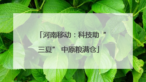 河南移动：科技助“三夏” 中原粮满仓