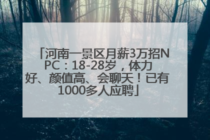 河南一景区月薪3万招NPC：18-28岁，体力好、颜值高、会聊天！已有1000多人应聘